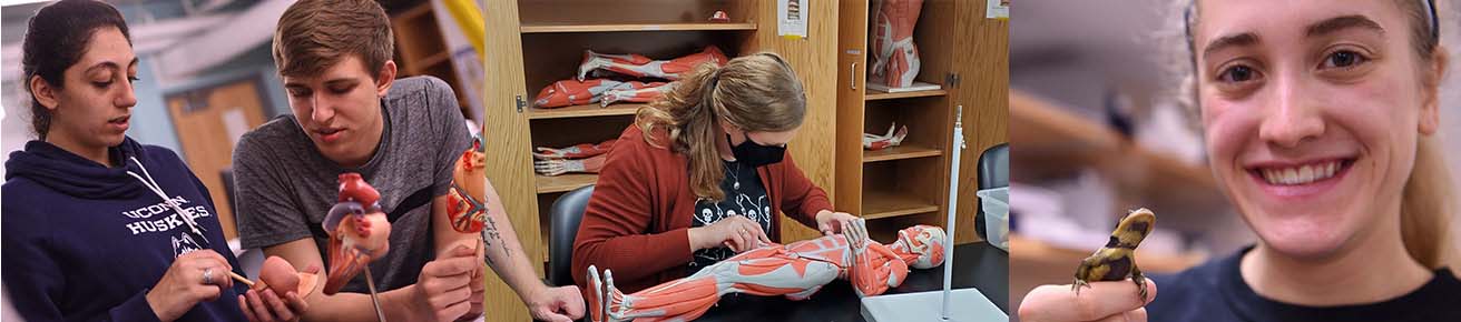 Biology students working with faculty at The University of Akron