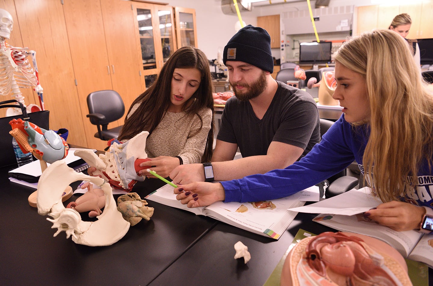 Three students examining various plastic models of body parts