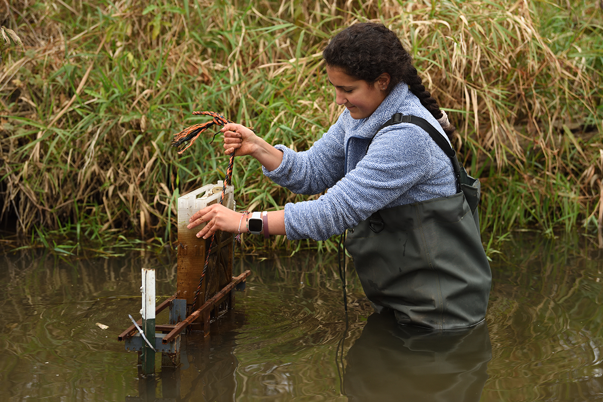 Civil engineering student working in the water