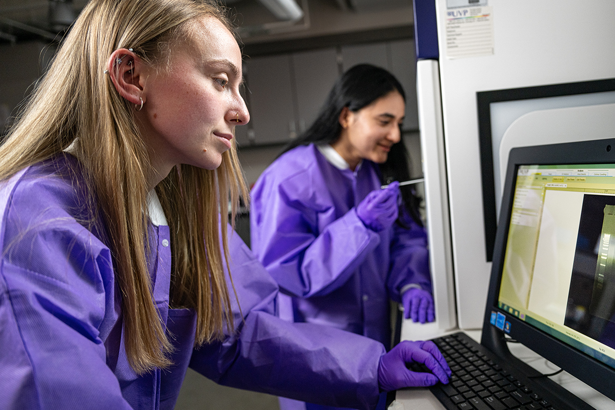 Biomedical engineering students working in the lab