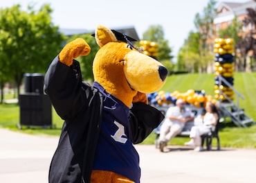 A kangaroo mascot in a graduation cap and gown poses outdoors on campus, flexing its arm. In the background, people sit on benches beside a display of yellow and black balloons.