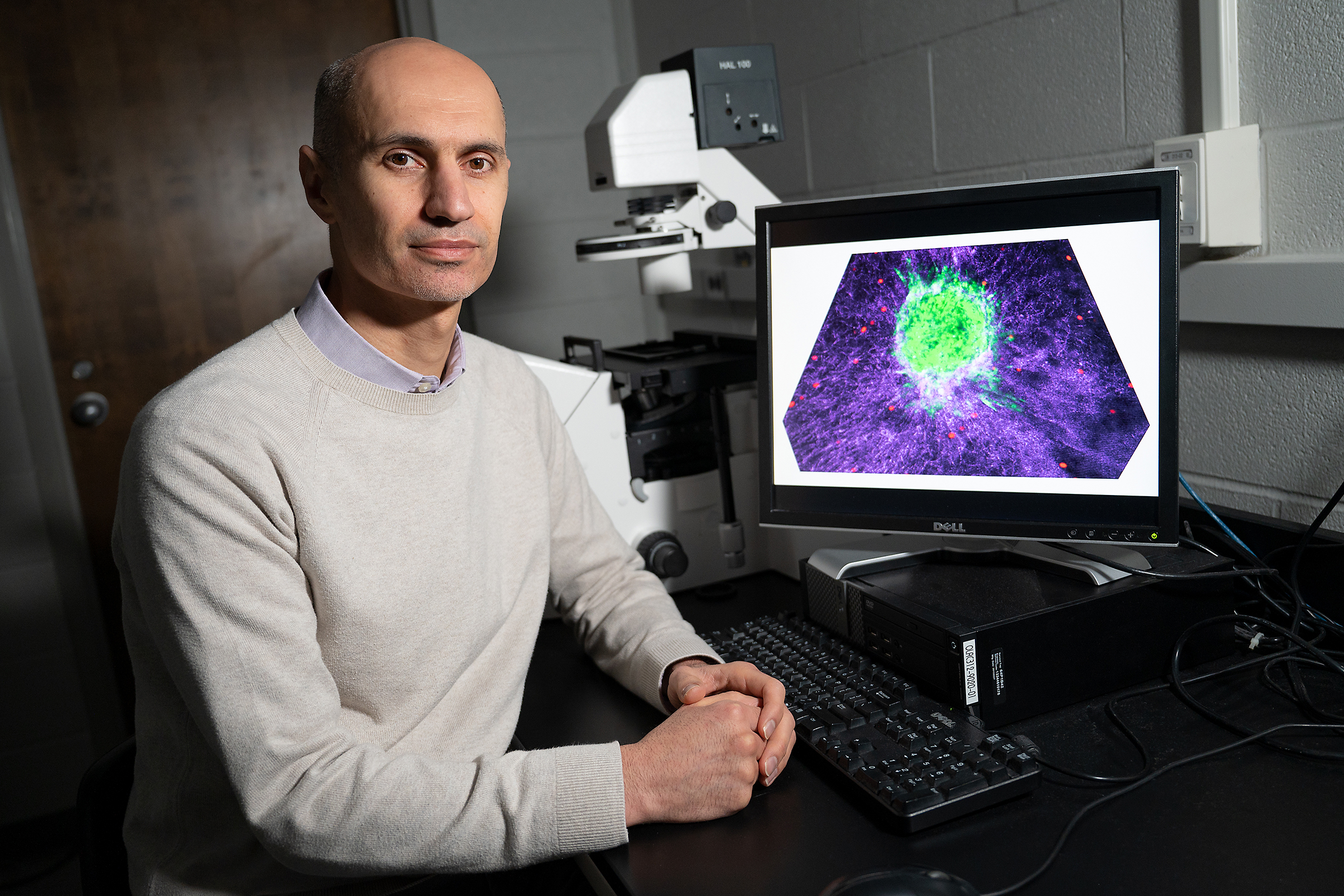 Dr. Hossein Tavana, Professor and Biomedical Engineering Department Chair