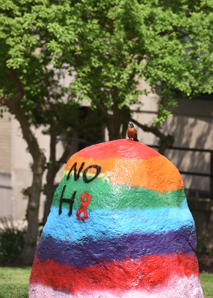 Students from the organization Pride in STEMM at The University of Akron